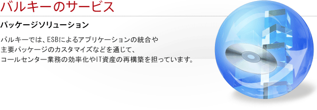 バルキーのサービス パッケージソリューション